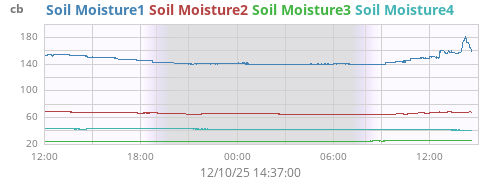 daymoistsoil