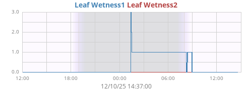 daywetleaf