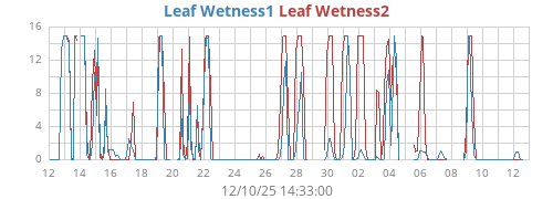 monthwetleaf