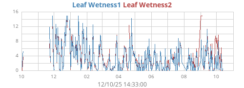 yearwetleaf